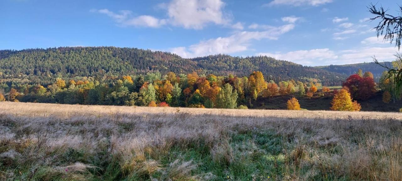 Domki Pod Sudeckim Niebem Villa Duszniki Zdrój Esterno foto